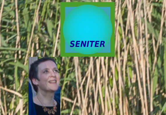 Logo Seniter